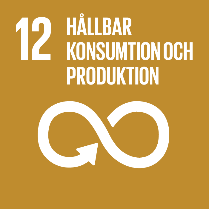 FNs Globala mål 12 Hållbar konsumtion och produktion