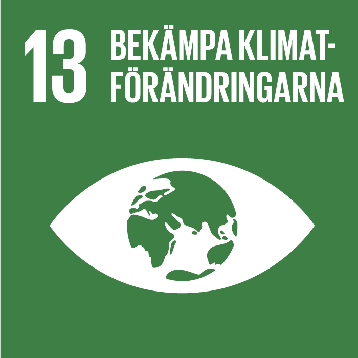 FN:s globla mål 13  BEKÄMPA KLIMATFÖRÄNDRINGARNA