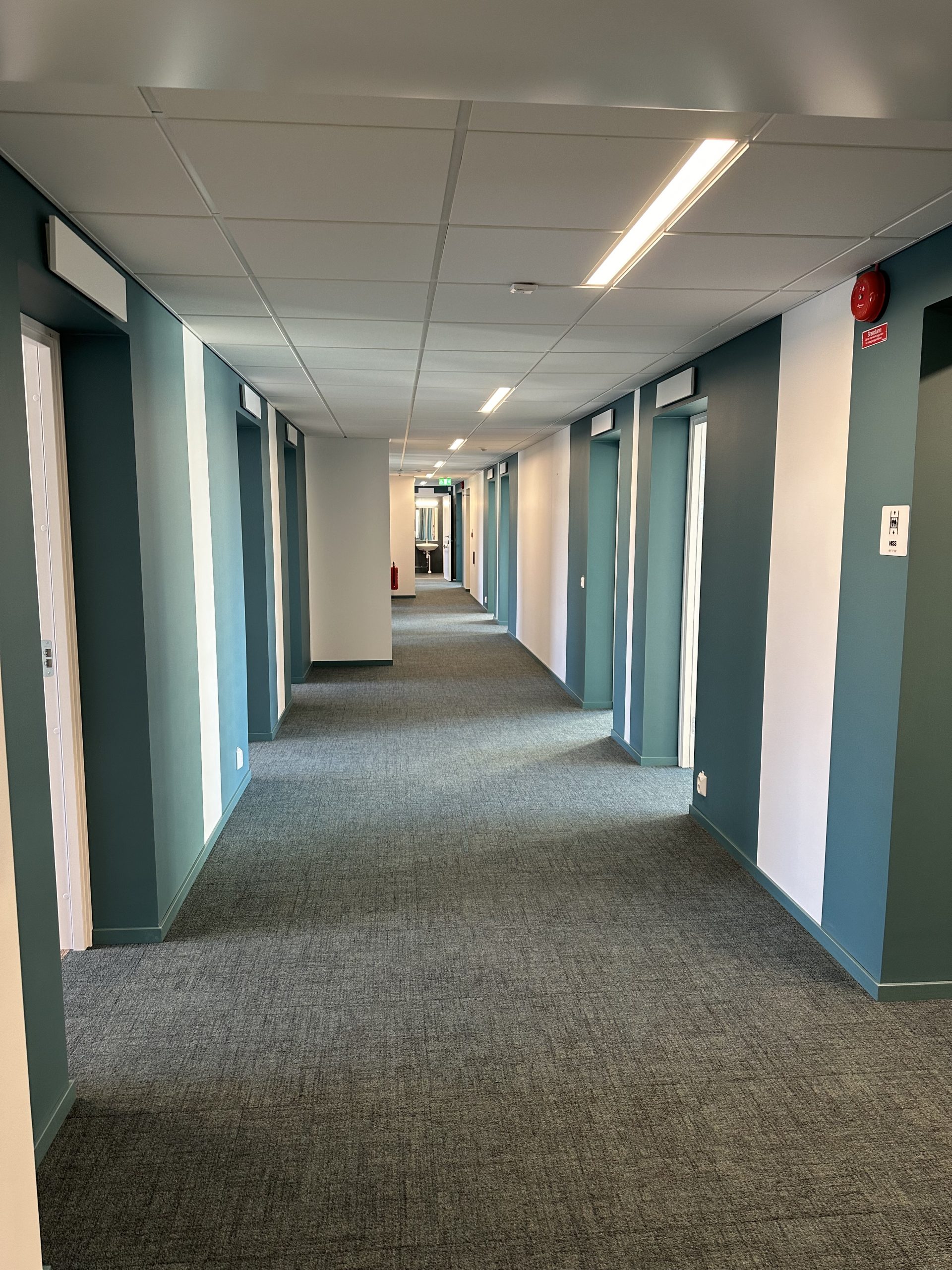 Korridorer med nya golvmattor i grått och härliga färger på väggarna