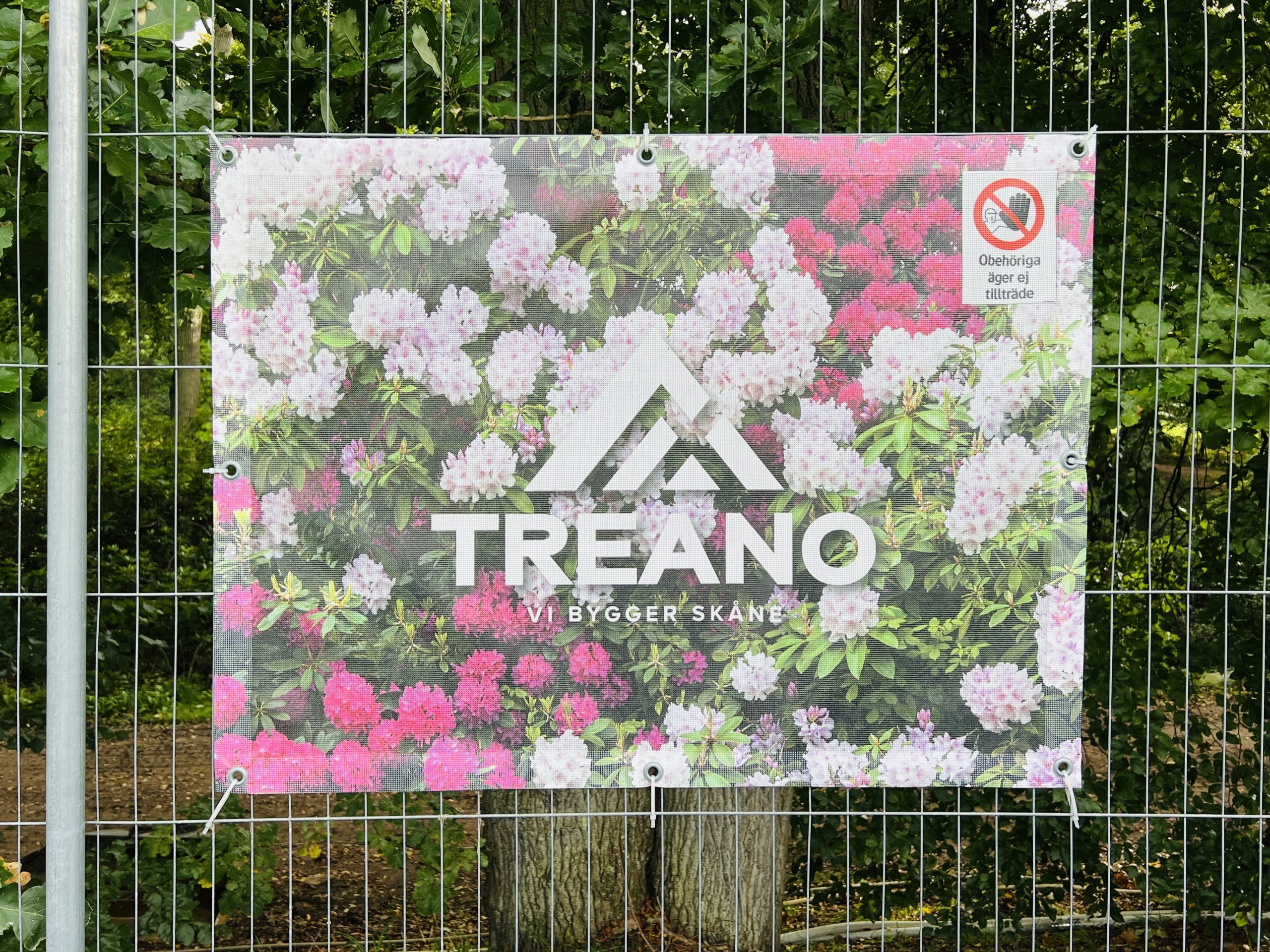 Staketvepor runt Sofiero Treano logga och rhododendron i bakgrunden
