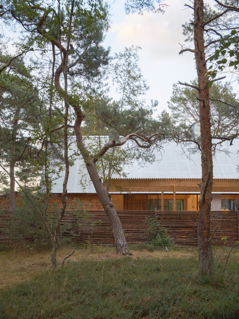 Exteriör av Villa P2 i Höllviken – en arkitektritad villa från Sawi Exclusive Homes by Treano, omgiven av tallar och ljung. Den moderna fasaden, harmonisk belysning och naturliga material framhäver husets exklusiva design och miljöklassificering 1.0.